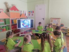 img (5)